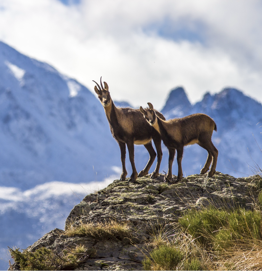 Sobre la ficció climàtica, els punks i els falsos miralls